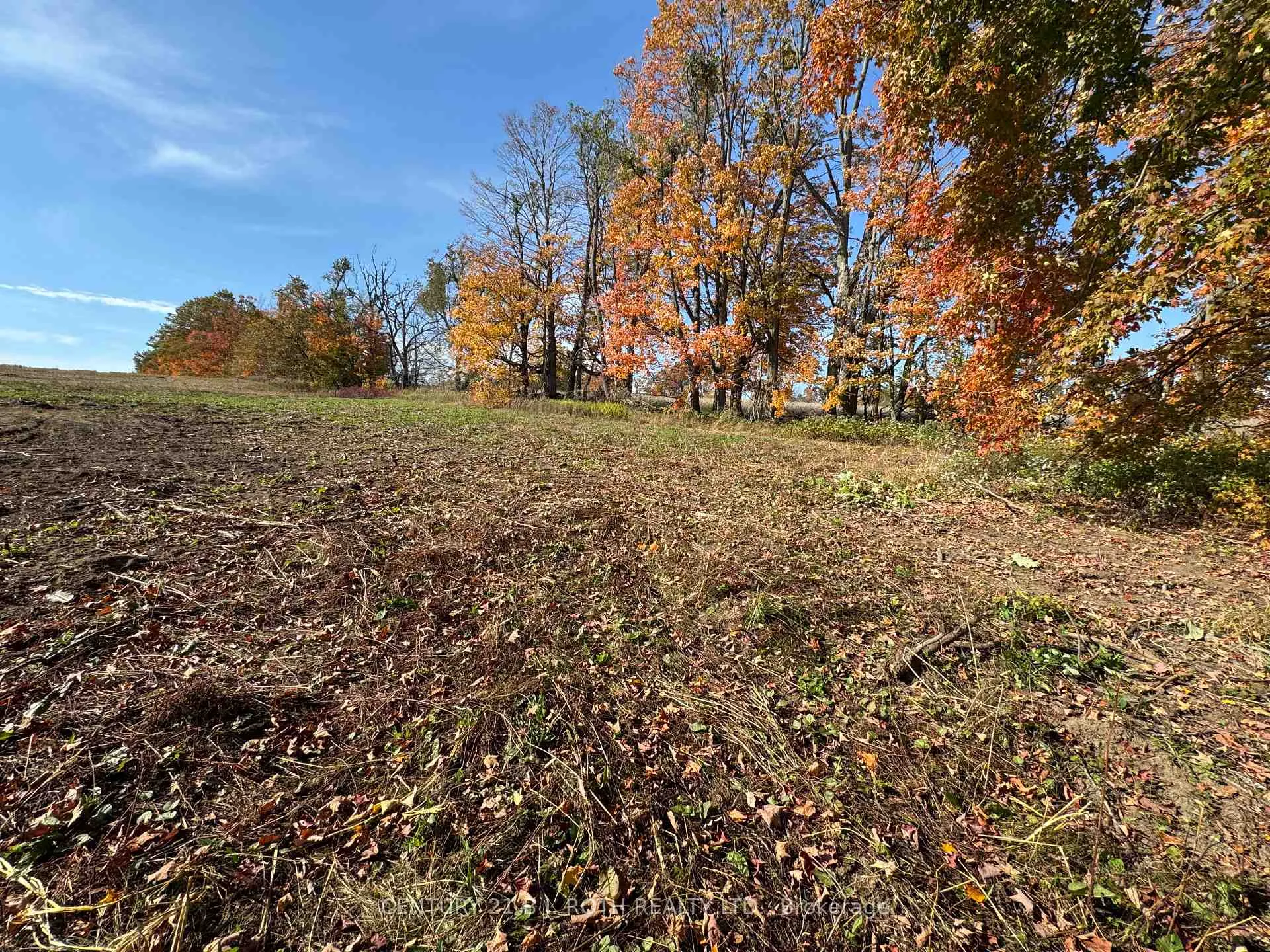 Photo 6 of 2960 8 Line, Oro-Medonte, Rural Oro-Medonte — HOMEH