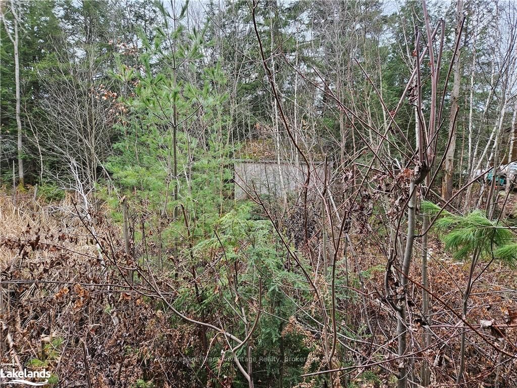 Photo 4 of 463 518, Seguin — HOMEH