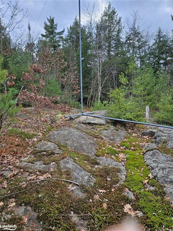 Photo 5 of 463 518, Seguin — HOMEH