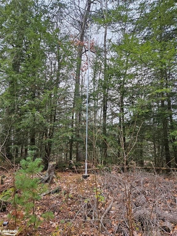 Photo 8 of 463 518, Seguin — HOMEH