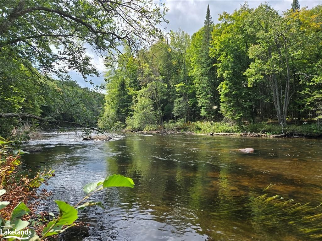 Photo 1 of 0 Burnt River Access, Minden Hills, Dysart — HOMEH
