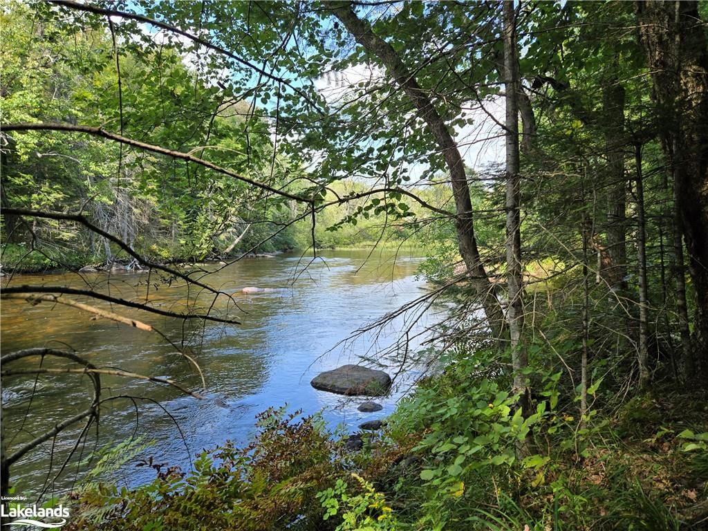 Photo 3 of 0 Burnt River Access, Minden Hills, Dysart — HOMEH