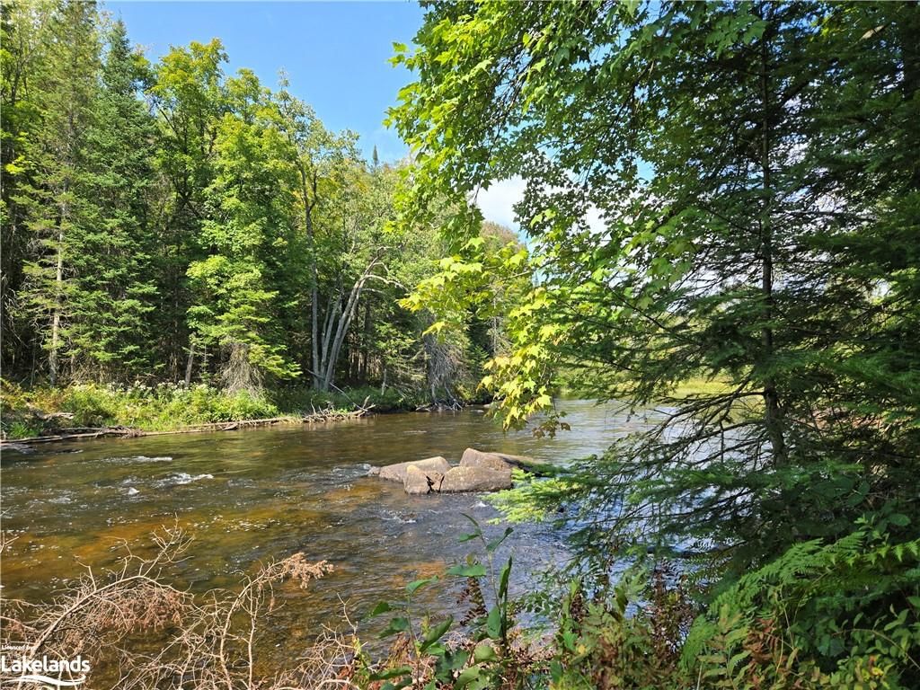 Photo 4 of 0 Burnt River Access, Minden Hills, Dysart — HOMEH