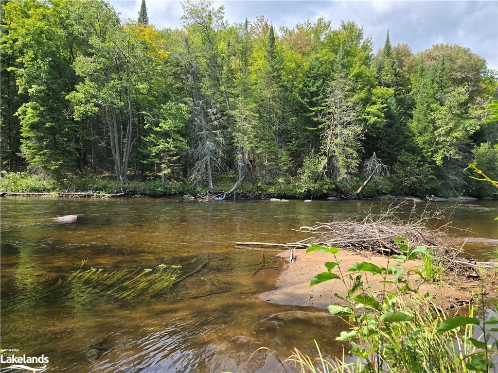 Photo 5 of 0 Burnt River Access, Minden Hills, Dysart — HOMEH