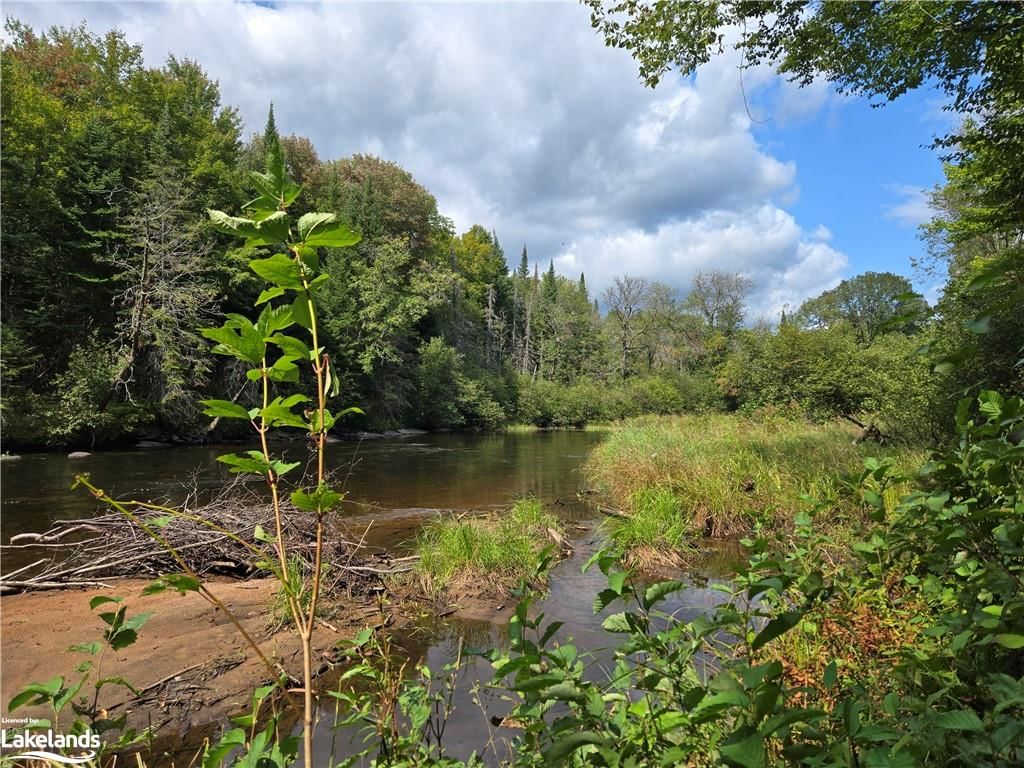 Photo 6 of 0 Burnt River Access, Minden Hills, Dysart — HOMEH