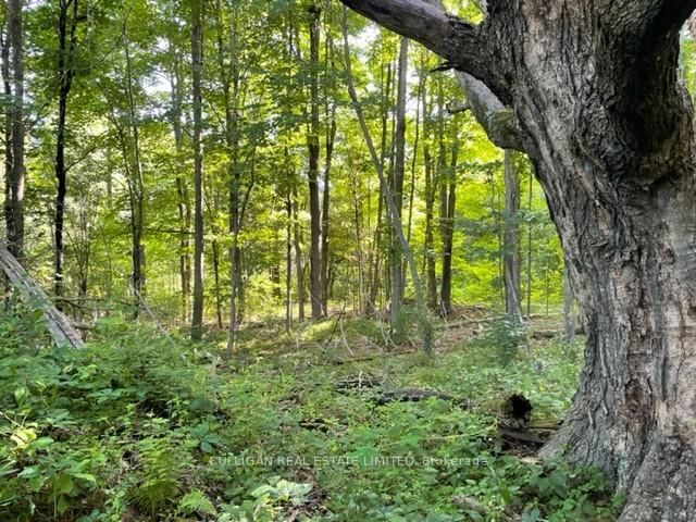 Photo 3 of 0 NEWBOYNE Rd, Rideau Lakes, Rideau Lakes (Bastard) Twp — HOMEH