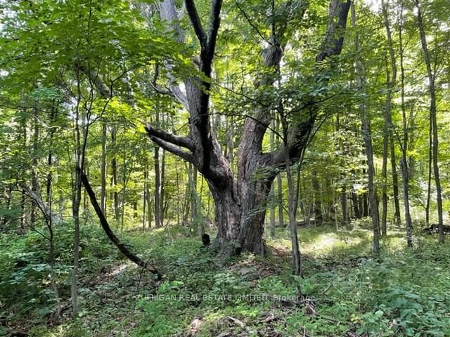 Photo 4 of 0 NEWBOYNE Rd, Rideau Lakes, Rideau Lakes (Bastard) Twp — HOMEH