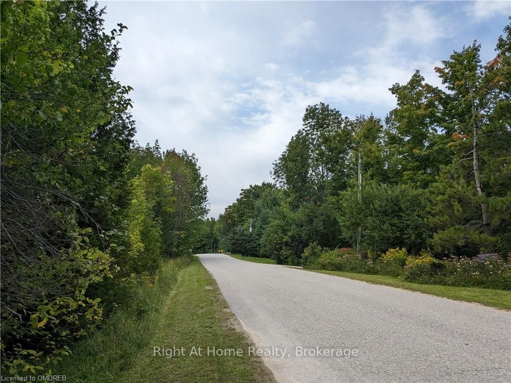 Photo 3 of BOWLES BLUFF Rd, Grey Highlands, Rural Grey Highlands — HOMEH