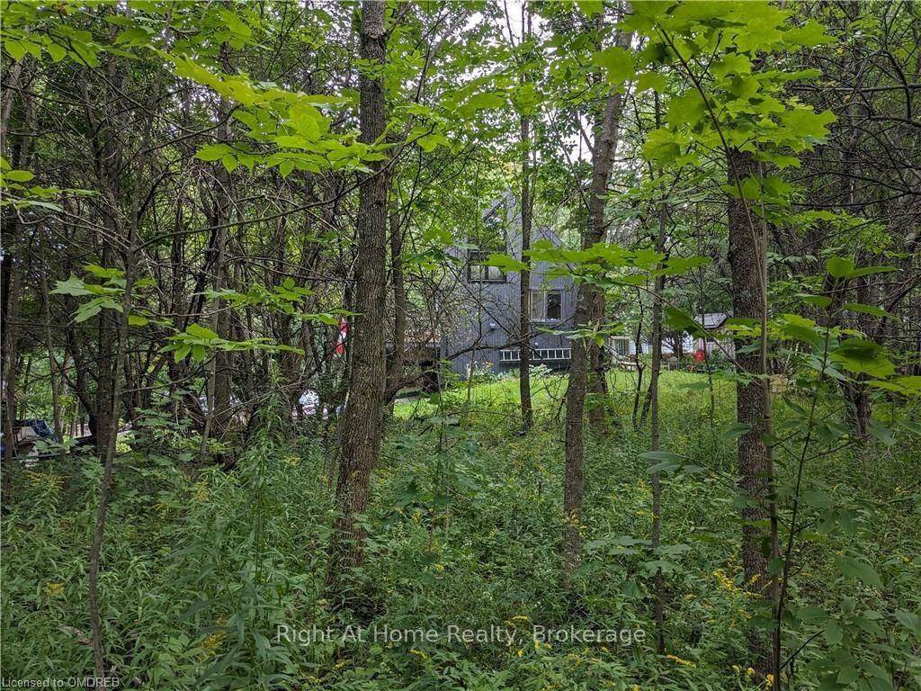 Photo 4 of BOWLES BLUFF Rd, Grey Highlands, Rural Grey Highlands — HOMEH