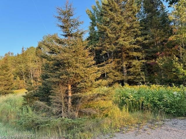 Photo 8 of 643 Highway 17 E, Bonfield — HOMEH