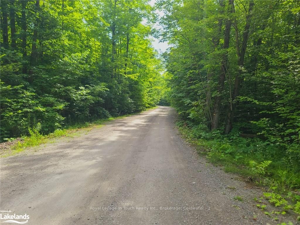Photo 6 of 3857 DARLING ISLAND Rd, Severn, Rural Severn — HOMEH