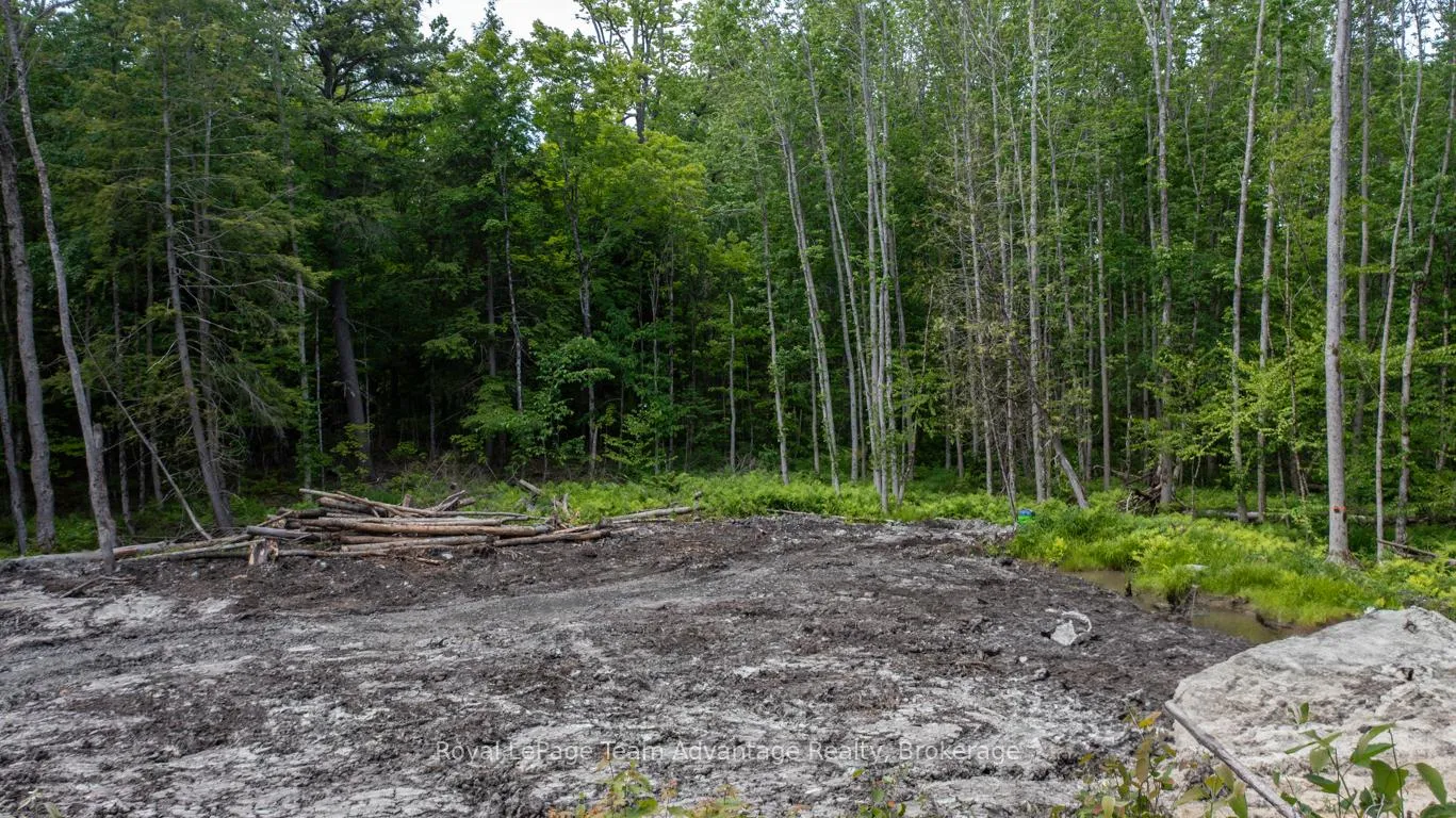 Photo 4 of 40 Sunnyshore Park Drive, McKellar — HOMEH
