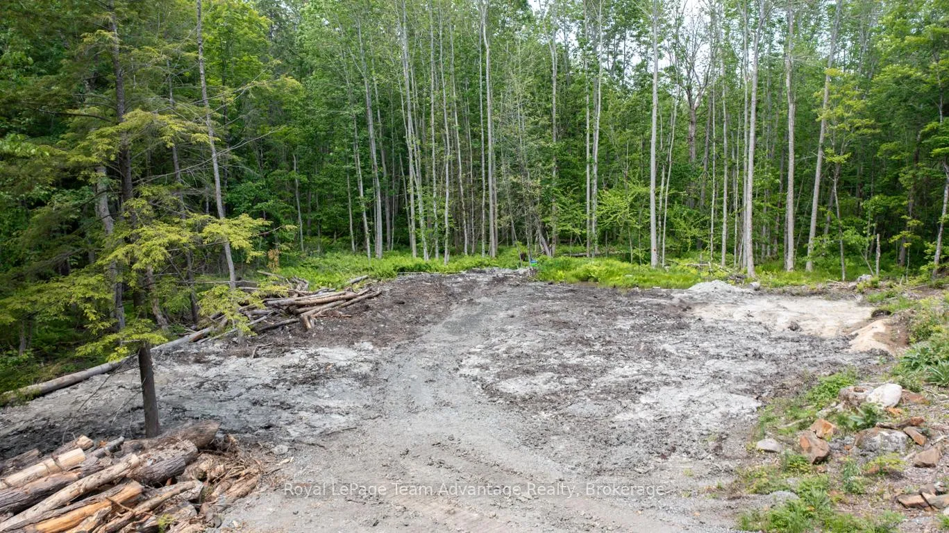 Photo 5 of 40 Sunnyshore Park Drive, McKellar — HOMEH