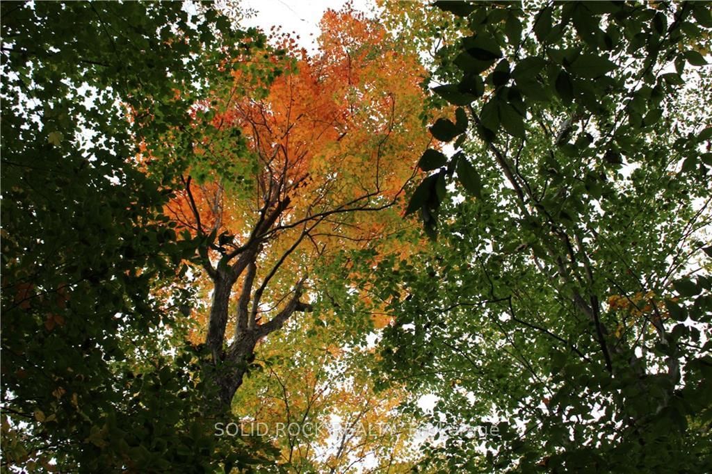 Photo 9 of 2209 JOCHEM Rd, Edwardsburgh/Cardinal, Edwardsburgh/Cardinal Twp — HOMEH