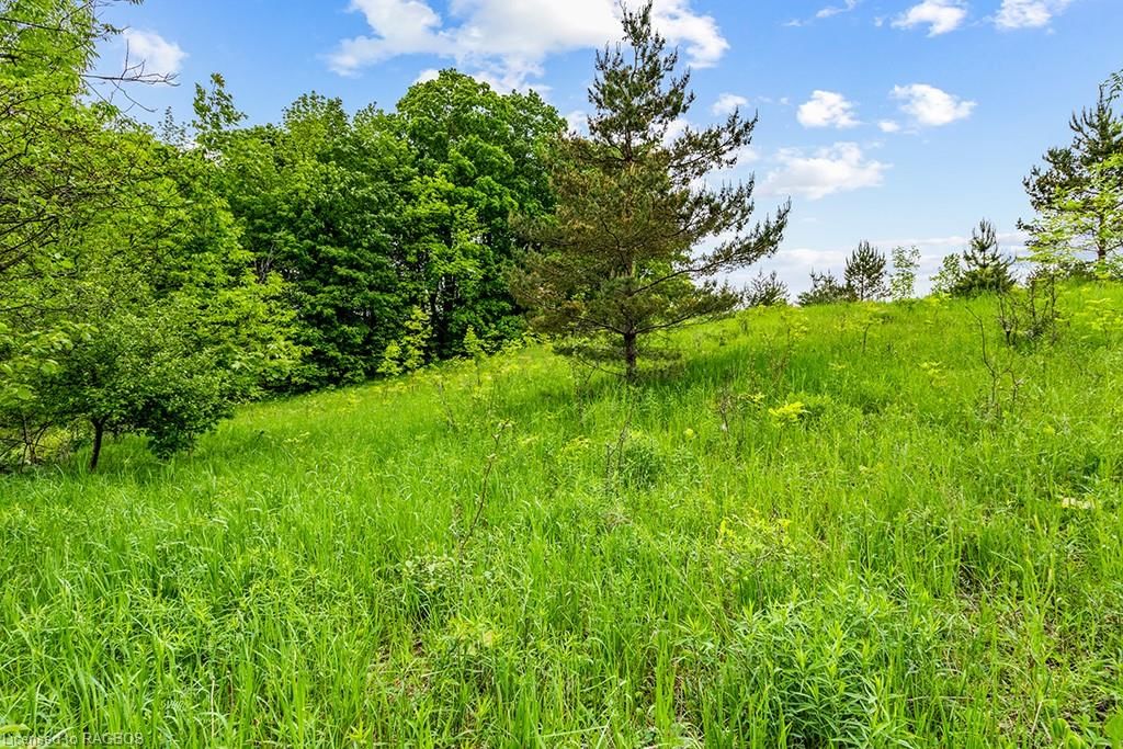 Photo 5 of PT LOT 16 Side Road 5, Chatsworth — HOMEH