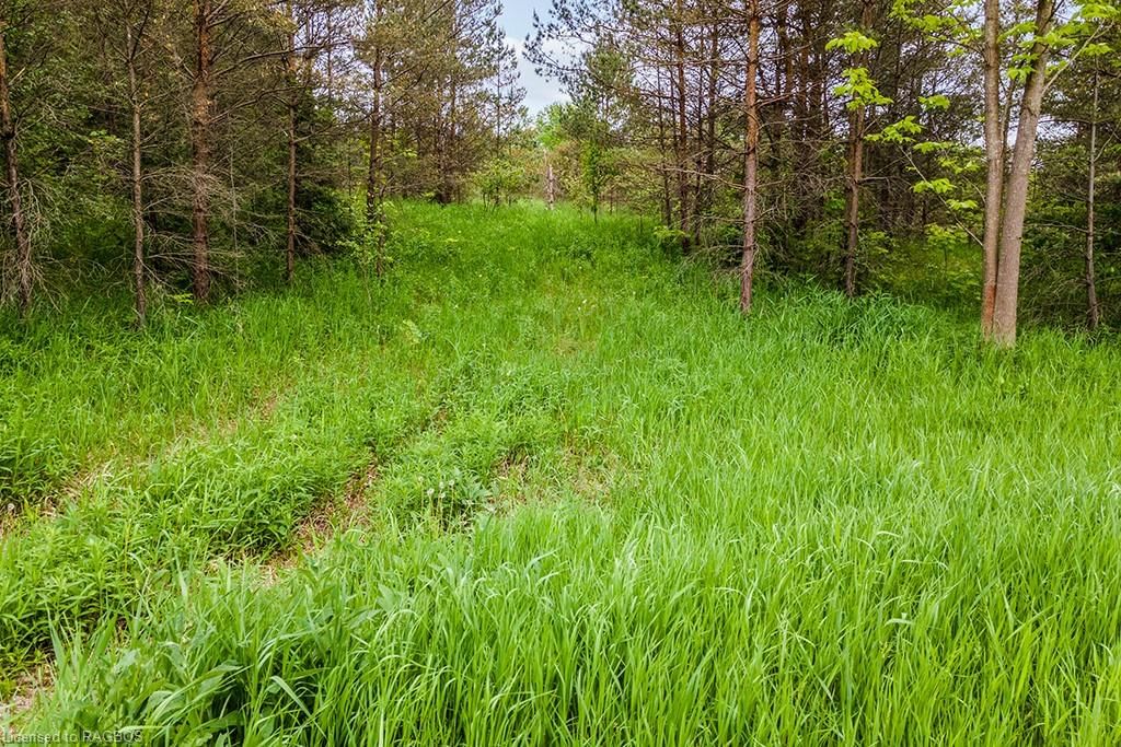 Photo 9 of PT LOT 16 Side Road 5, Chatsworth — HOMEH