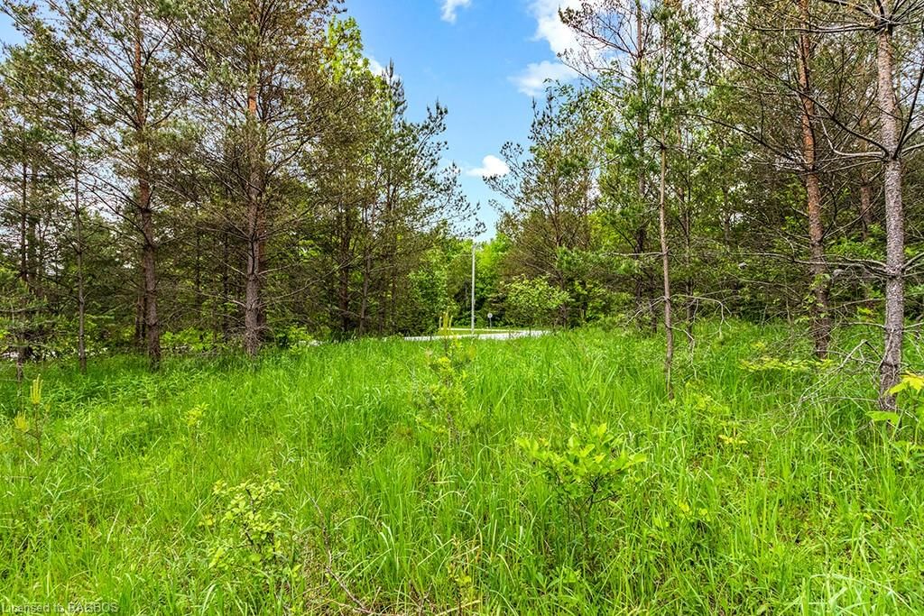 Photo 10 of PT LOT 16 Side Road 5, Chatsworth — HOMEH