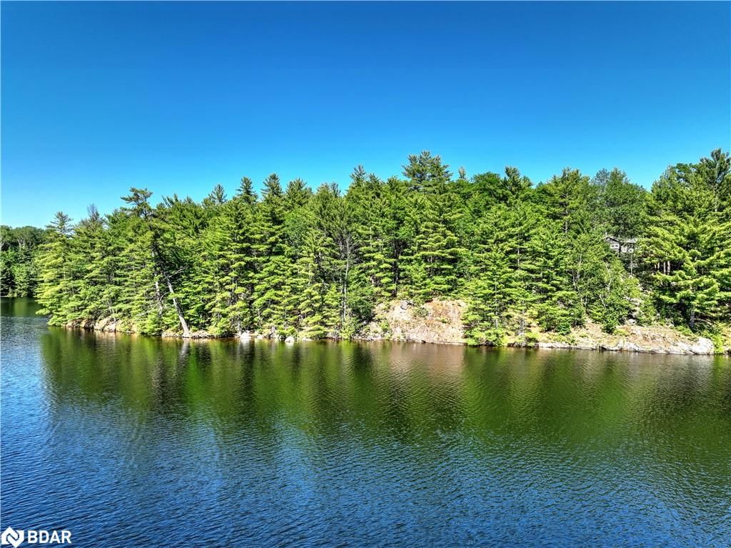 Photo 6 of 99 Fire Route 394, Trent Lakes, Galway/Cavendish Township — HOMEH