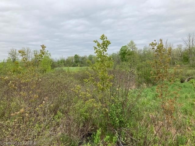 Photo 3 of PT LT 44 9TH Concession Road, Stone Mills — HOMEH