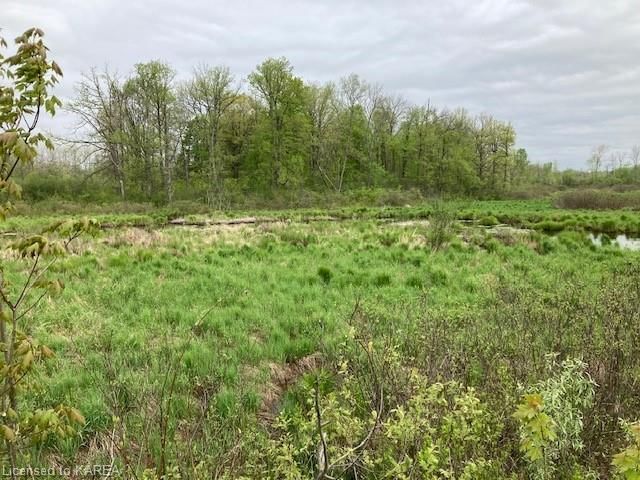 Photo 4 of PT LT 44 9TH Concession Road, Stone Mills — HOMEH