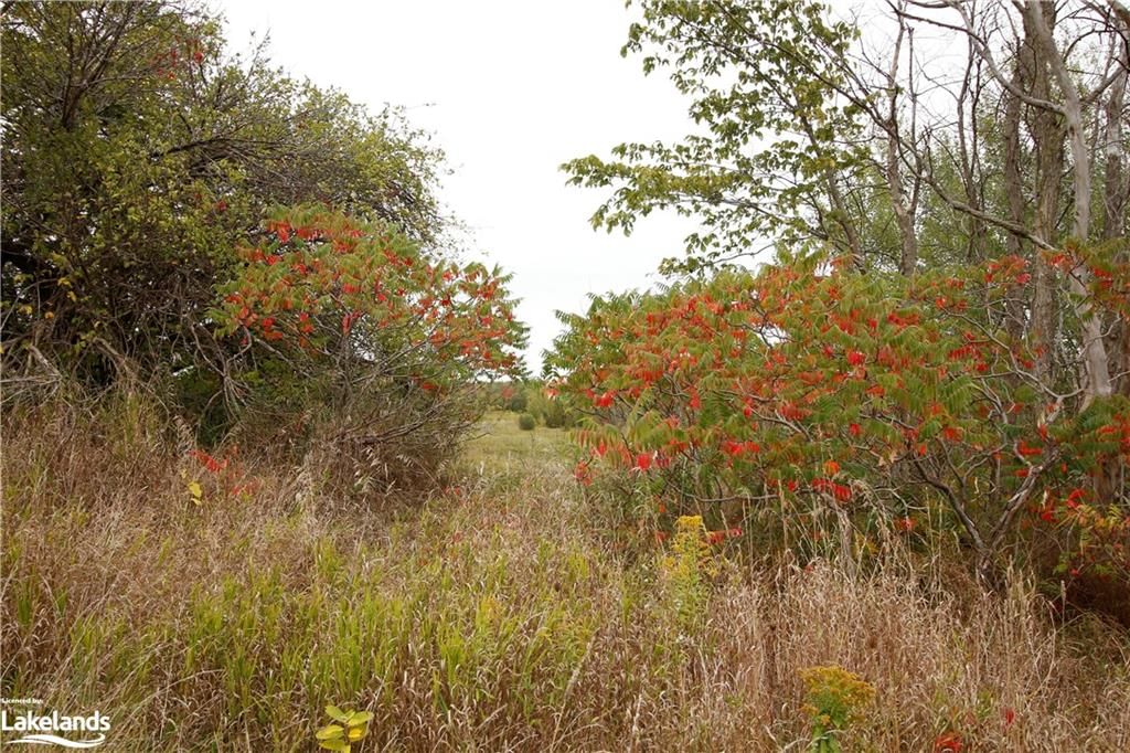Photo 3 of 0 3/4 Sunnidale Sideroad, Clearview, Rural Clearview — HOMEH