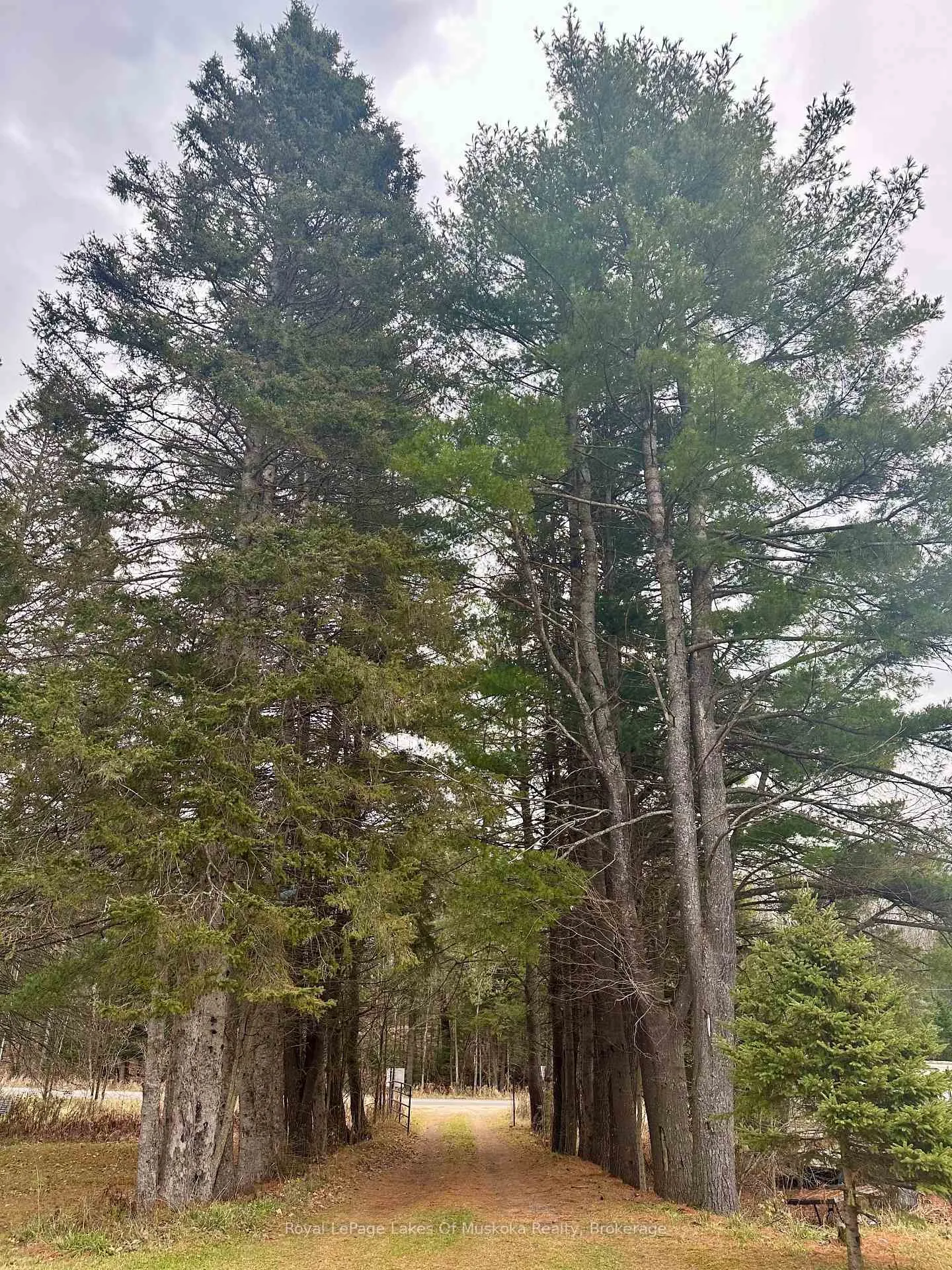 Photo 27 of 112 510 Highway, Magnetawan — HOMEH