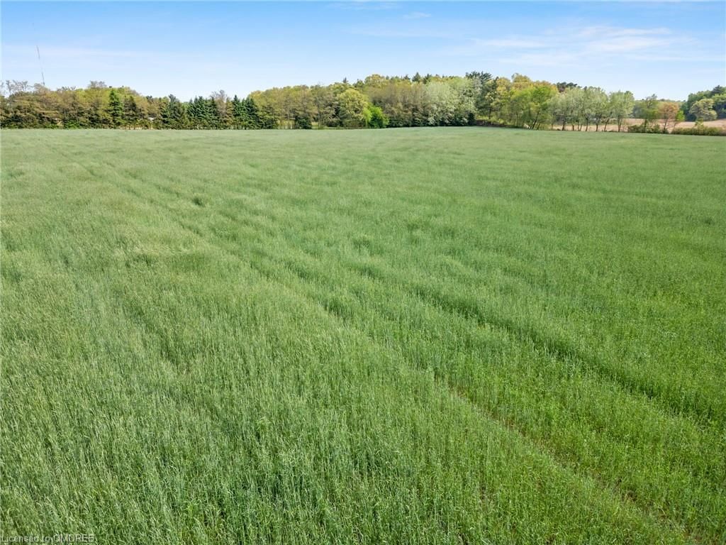 Photo 9 of CON 6 PT LT 13 Road, Simcoe, Walsh — HOMEH