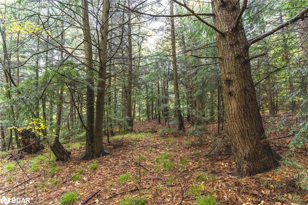 Photo 7 of PT LOTS 23 & 24 Con 8, Oro-Medonte, Rural Oro-Medonte — HOMEH