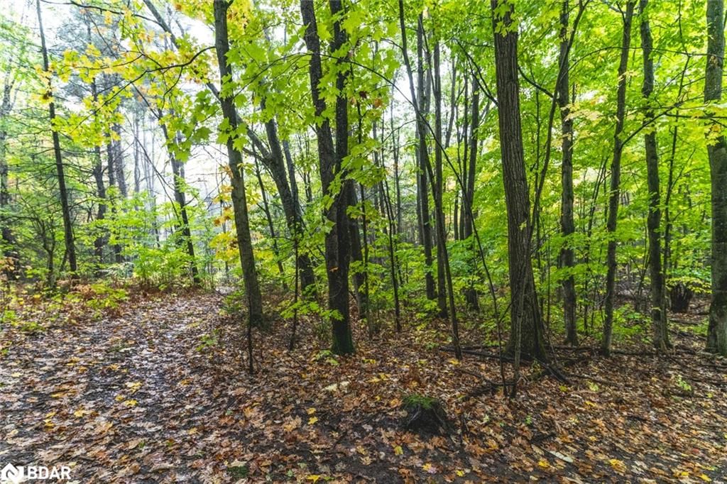Photo 8 of PT LOTS 23 & 24 Con 8, Oro-Medonte, Rural Oro-Medonte — HOMEH