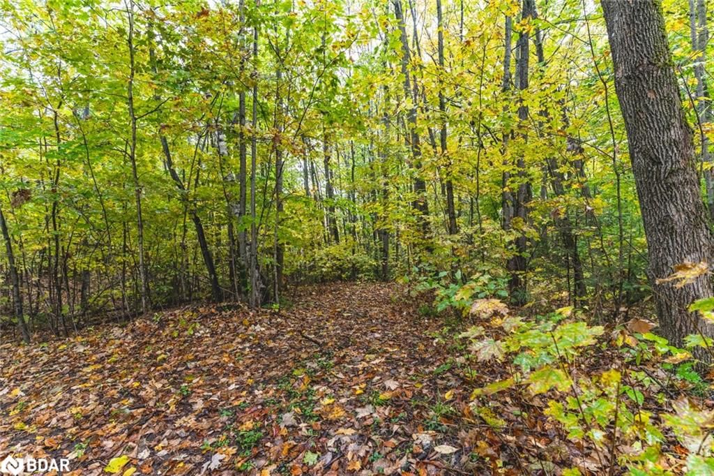 Photo 9 of PT LOTS 23 & 24 Con 8, Oro-Medonte, Rural Oro-Medonte — HOMEH