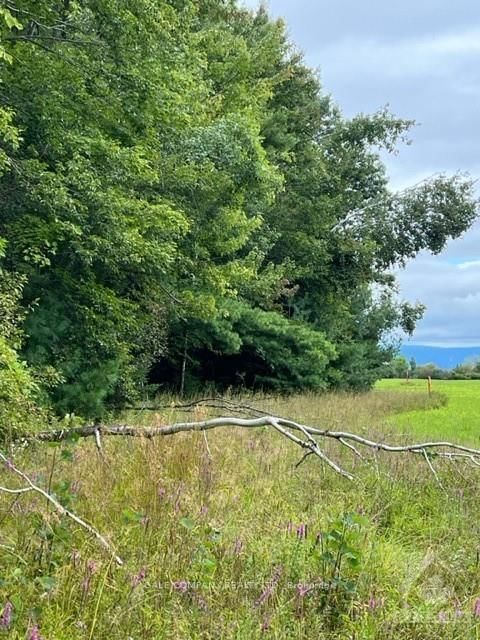 Photo 3 of 4475 DUNROBIN Rd, Ottawa, Constance Bay — HOMEH