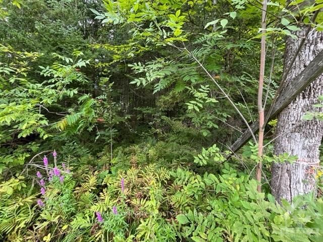Photo 4 of 4475 DUNROBIN Rd, Ottawa, Constance Bay — HOMEH