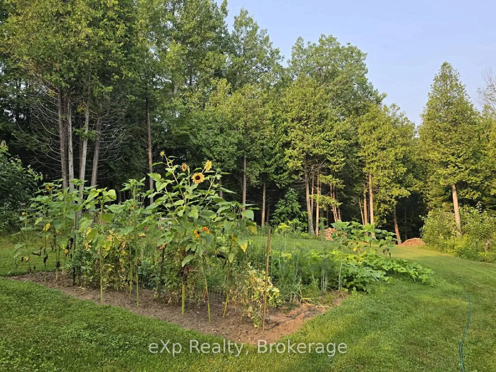 Photo 20 of 303709 South Line, West Grey — HOMEH