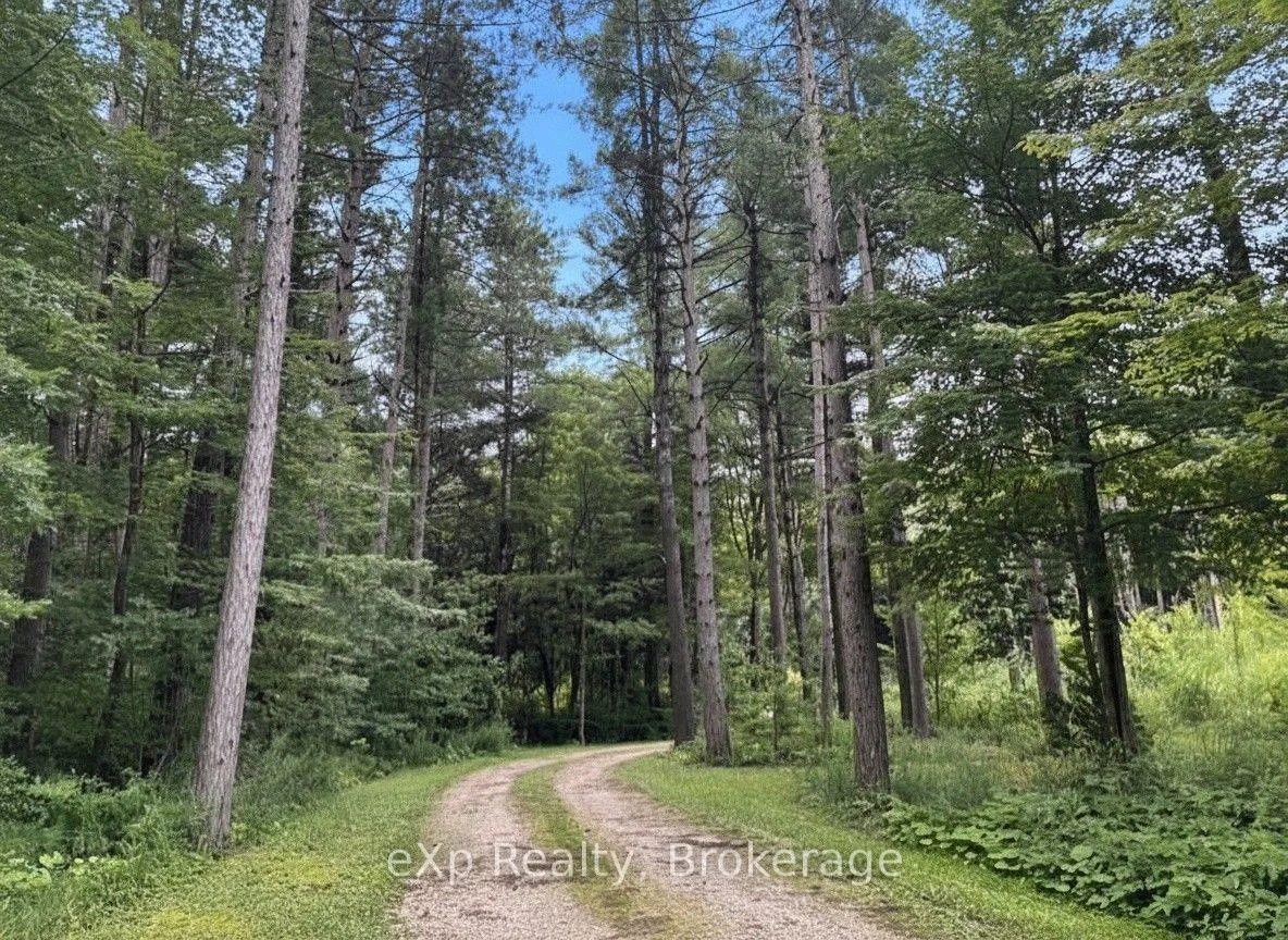 Photo 16 of 303709 South Line, West Grey — HOMEH