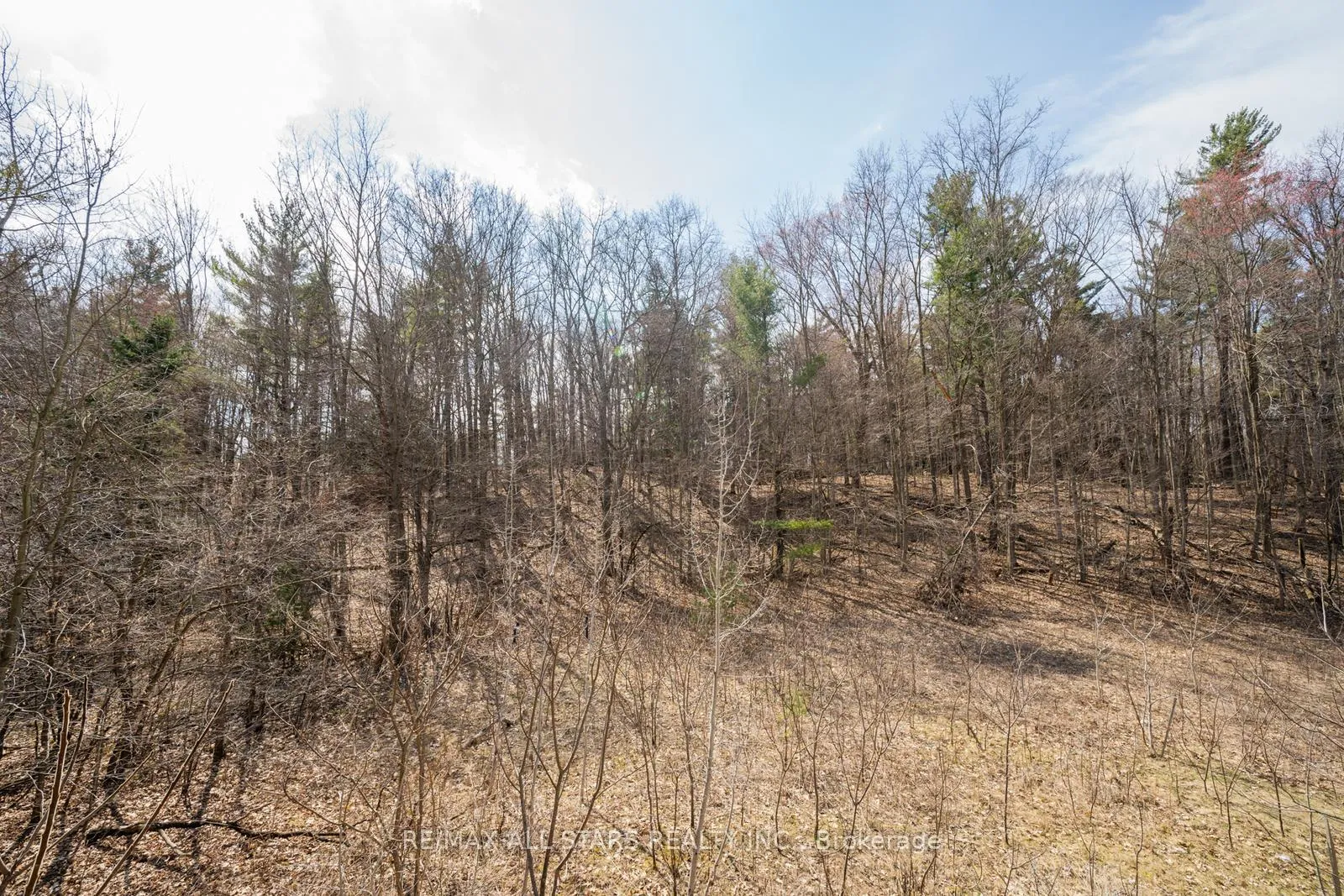 Photo 16 of 232 Butternut Ridge Trail, Aurora, Aurora Estates — HOMEH