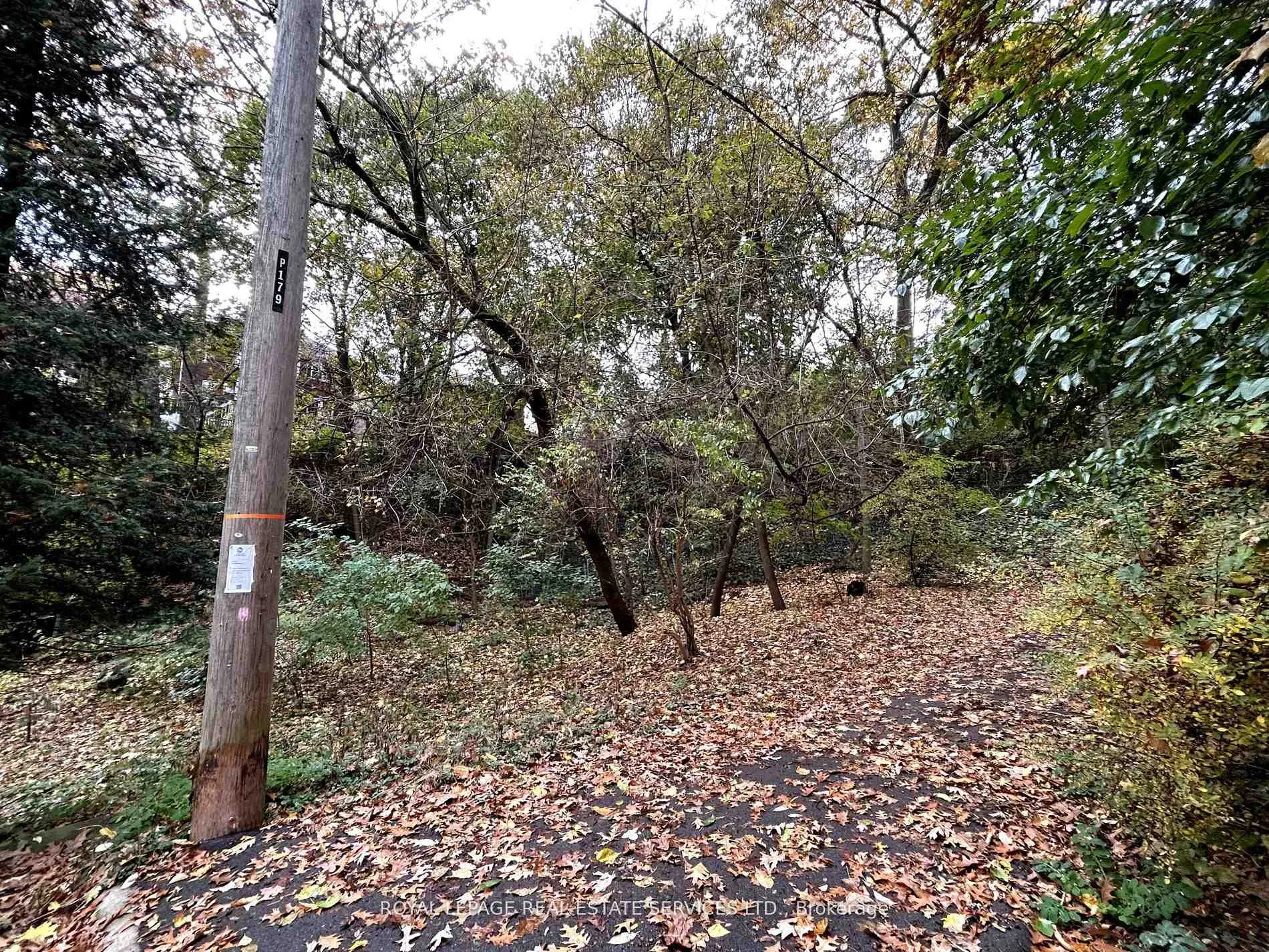 Photo 6 of Unit Ground Floor, 178 Morningside Avenue, Toronto, High Park-Swansea — HOMEH