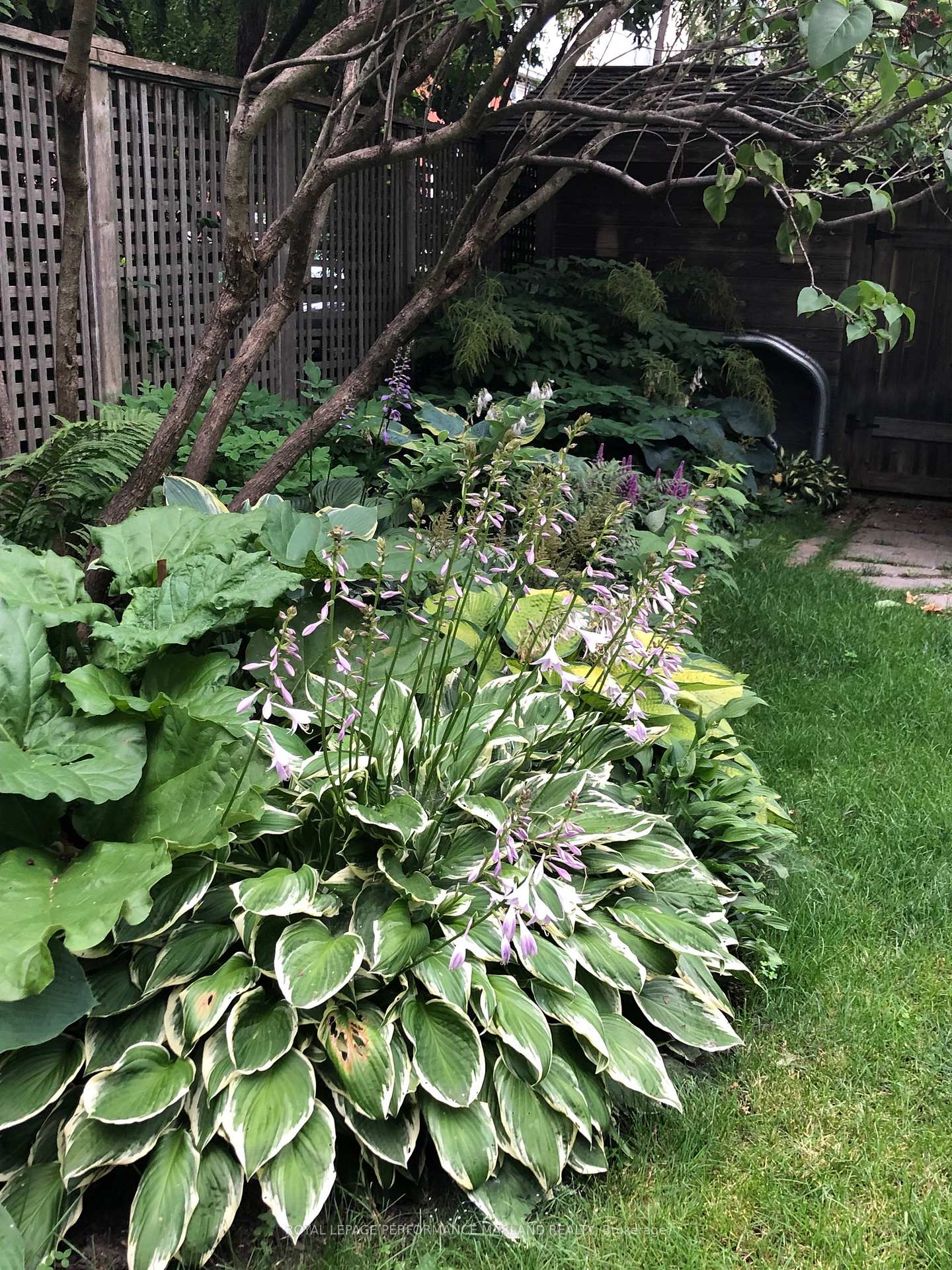 Photo 36 of 201 Patterson Avenue, Ottawa, Glebe — HOMEH