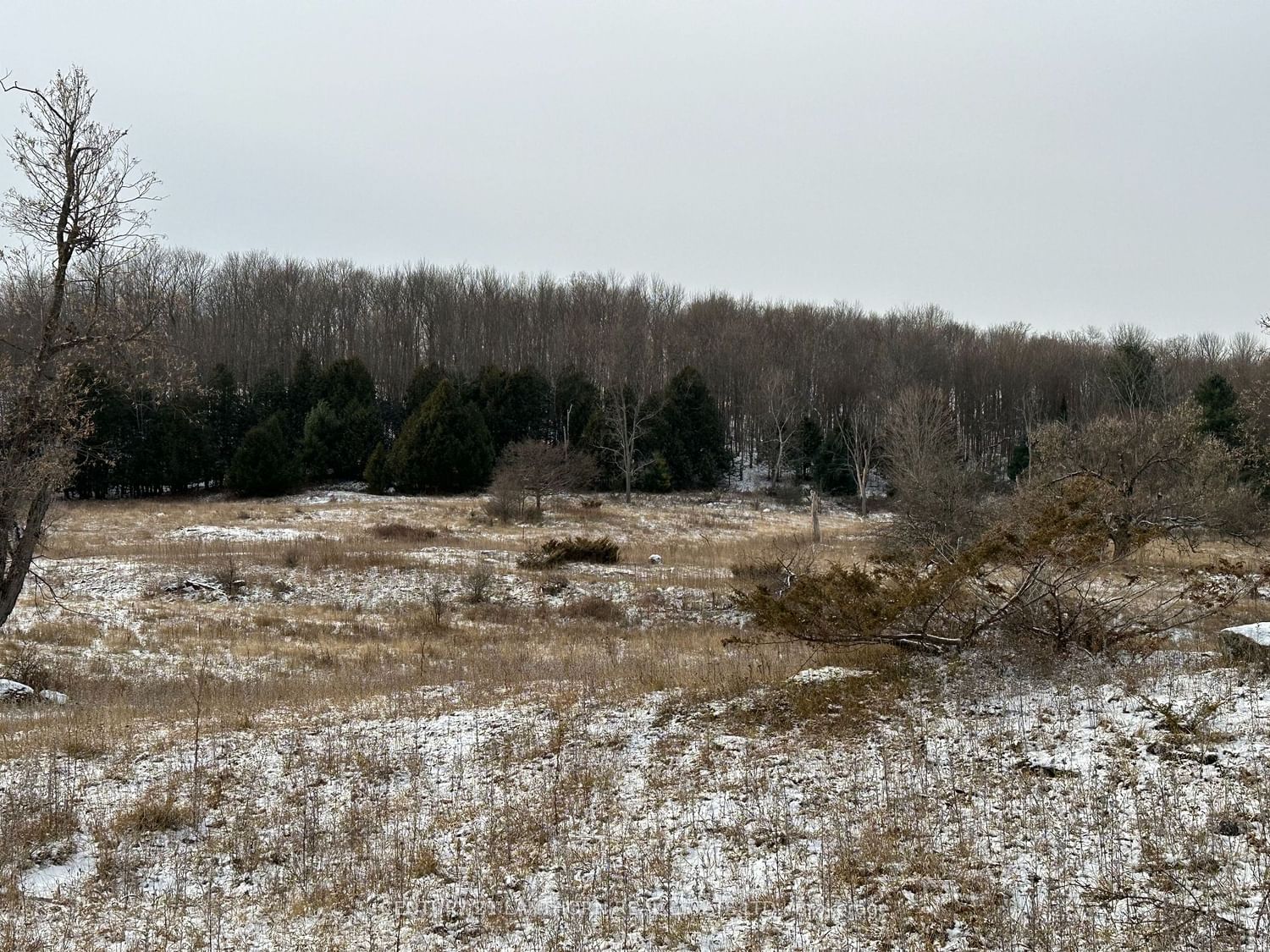 Photo 3 of 0 McCoy Rd, Madoc — HOMEH