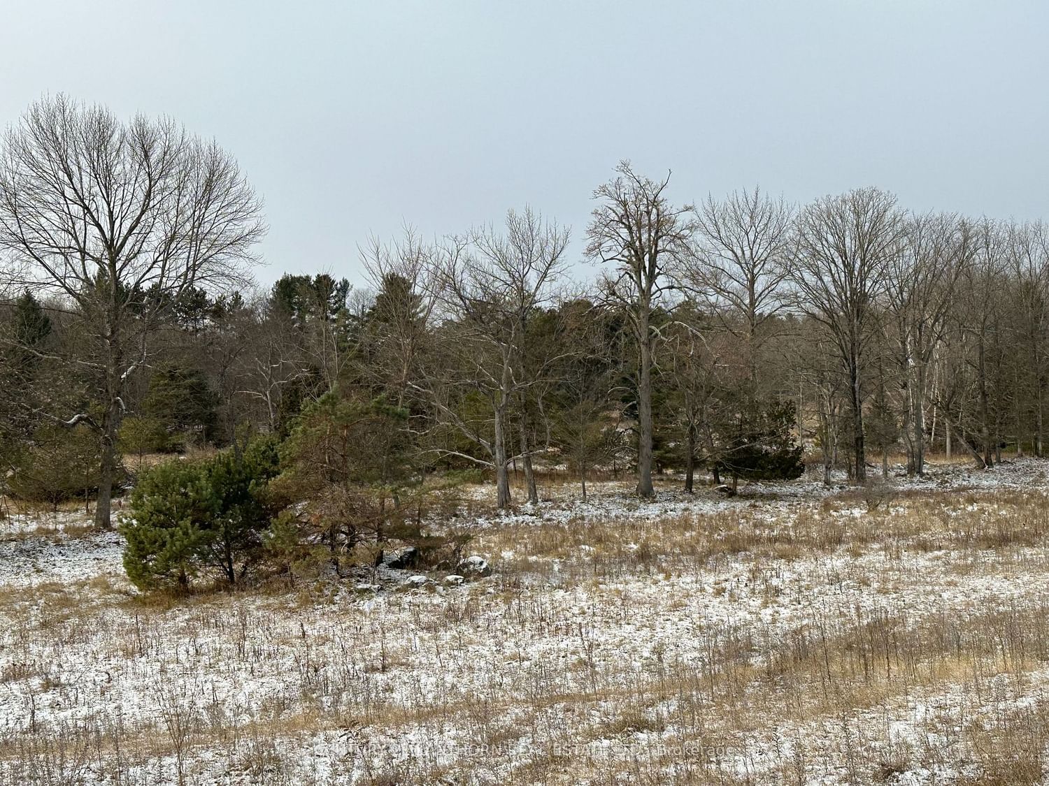 Photo 4 of 0 McCoy Rd, Madoc — HOMEH