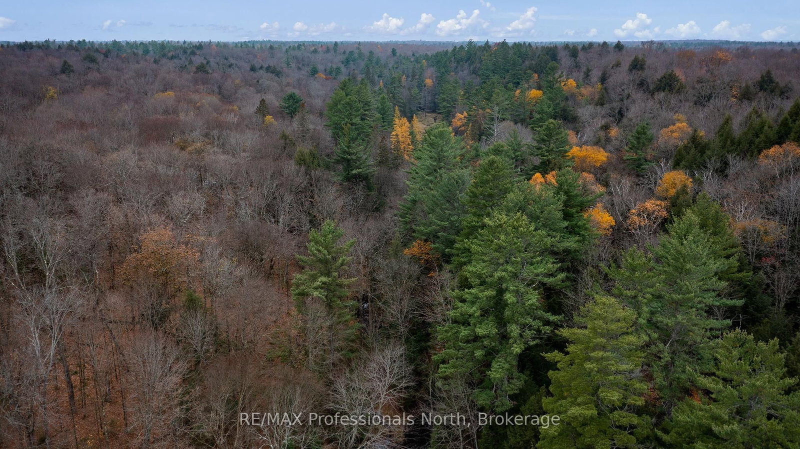Photo 2 of Lot 3 Carlsmount Rd, Bracebridge, Draper — HOMEH