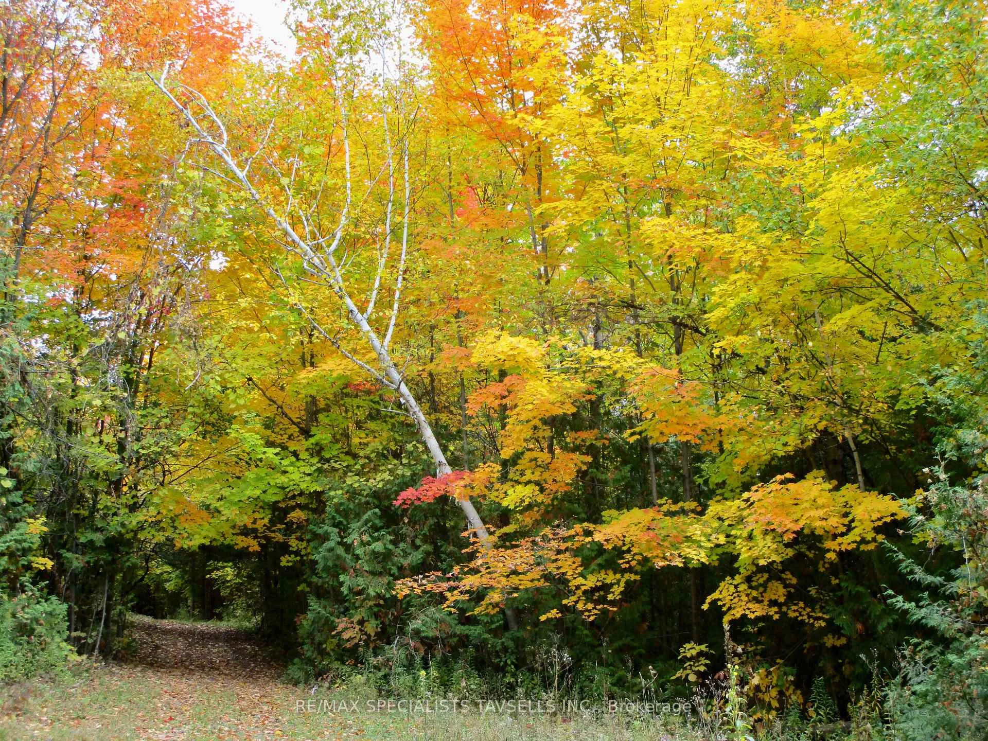 Photo 32 of 15993 Kennedy Road, Caledon, Rural Caledon — HOMEH