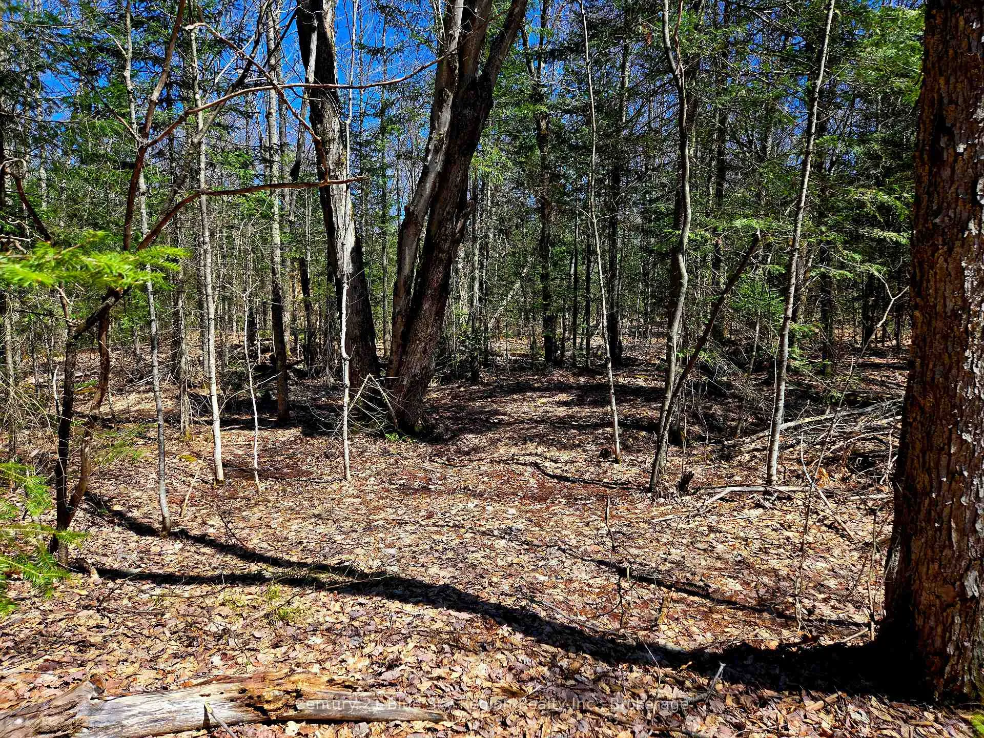 Photo 1 of 3267 Highway 534, Nipissing — HOMEH