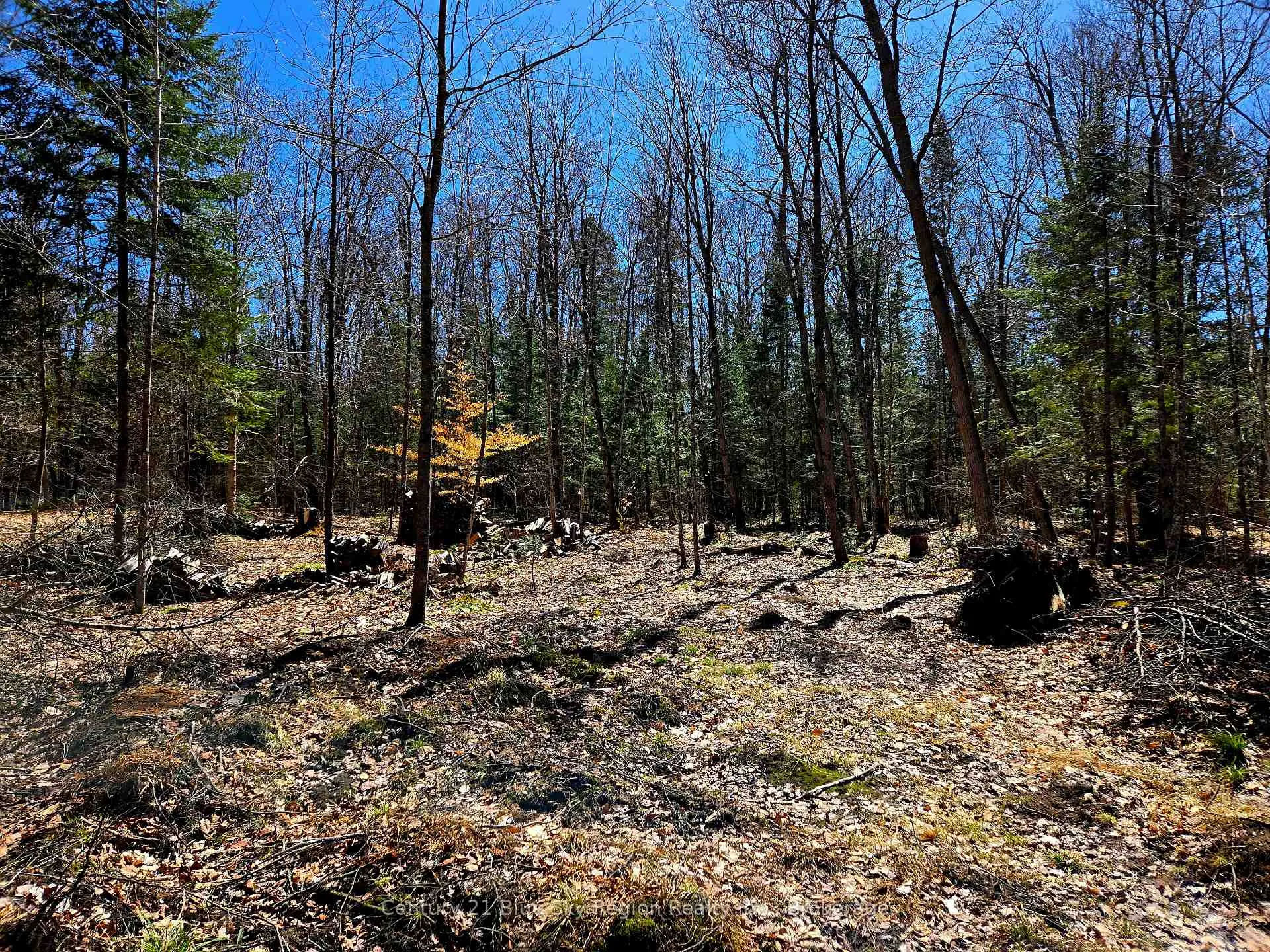 Photo 2 of 3267 Highway 534, Nipissing — HOMEH