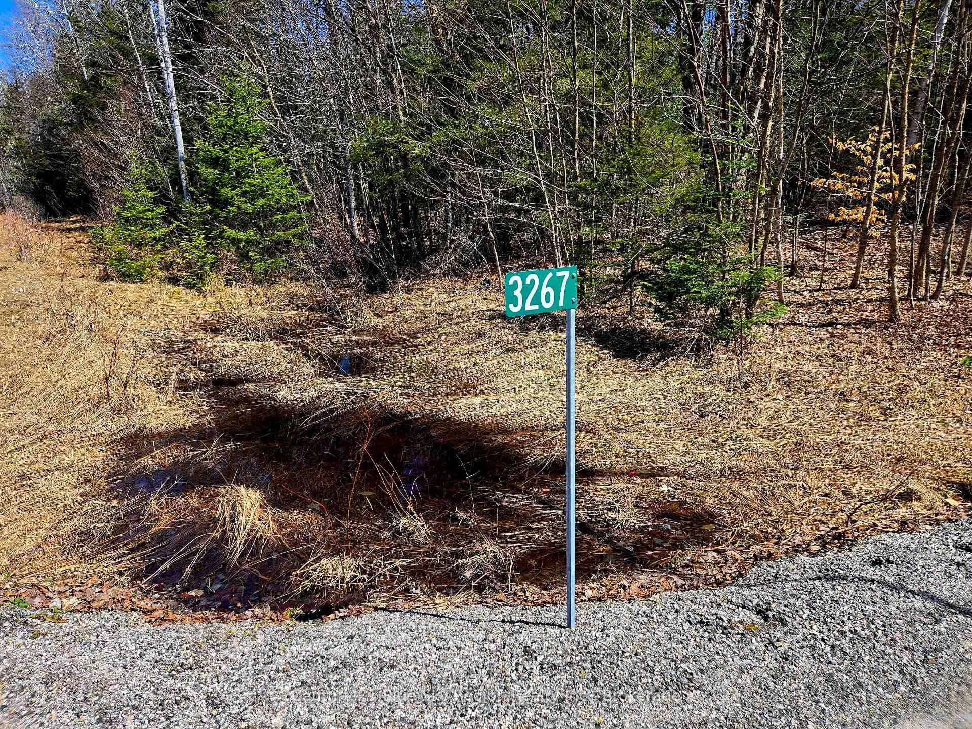 Photo 5 of 3267 Highway 534, Nipissing — HOMEH