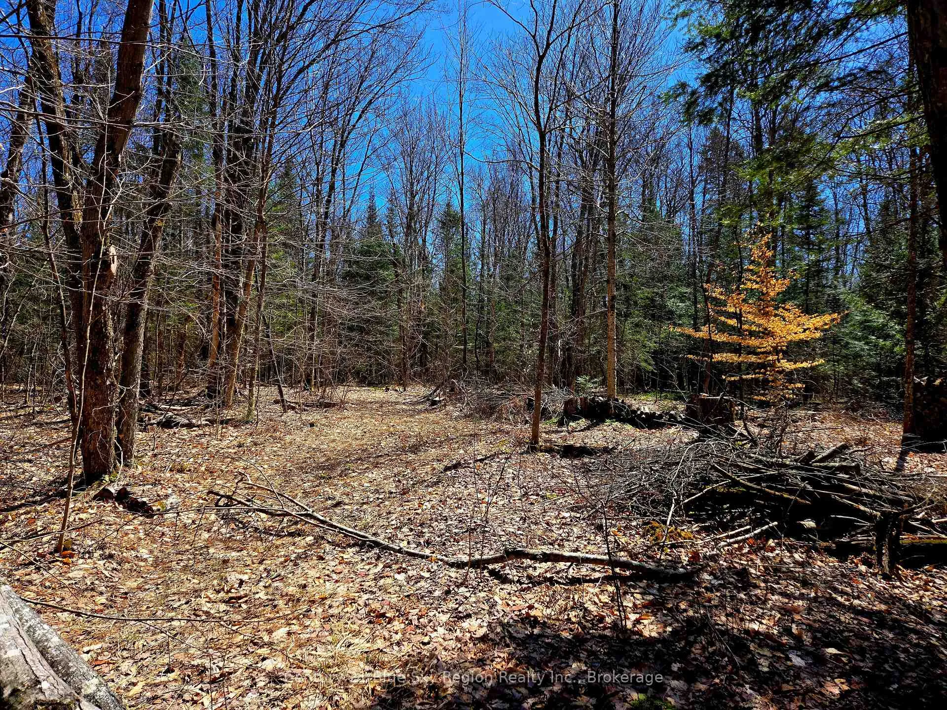 Photo 9 of 3267 Highway 534, Nipissing — HOMEH