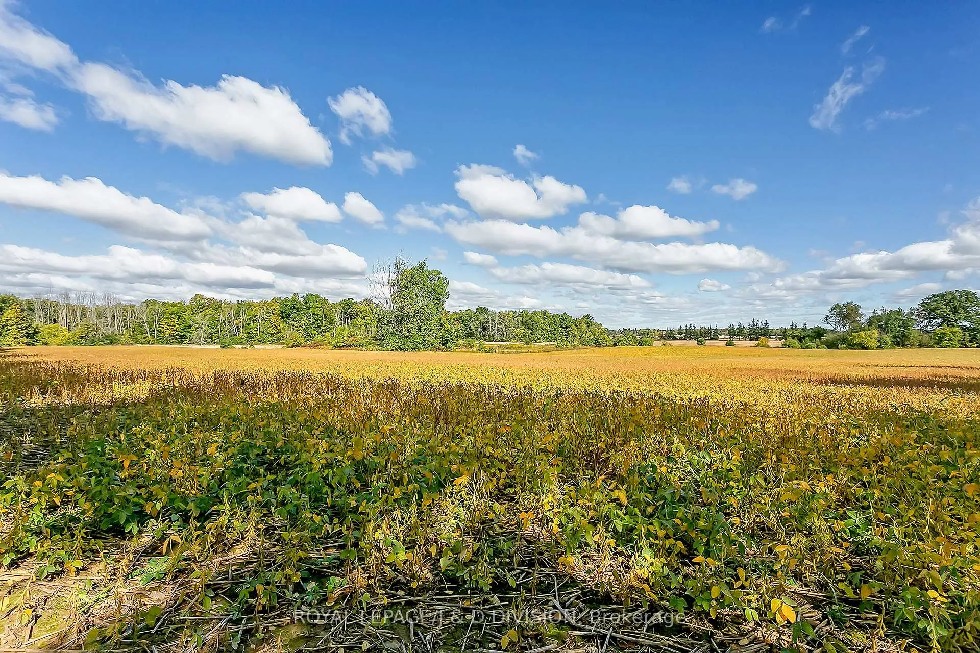Photo 3 of 523 Mines Road, Haldimand — HOMEH
