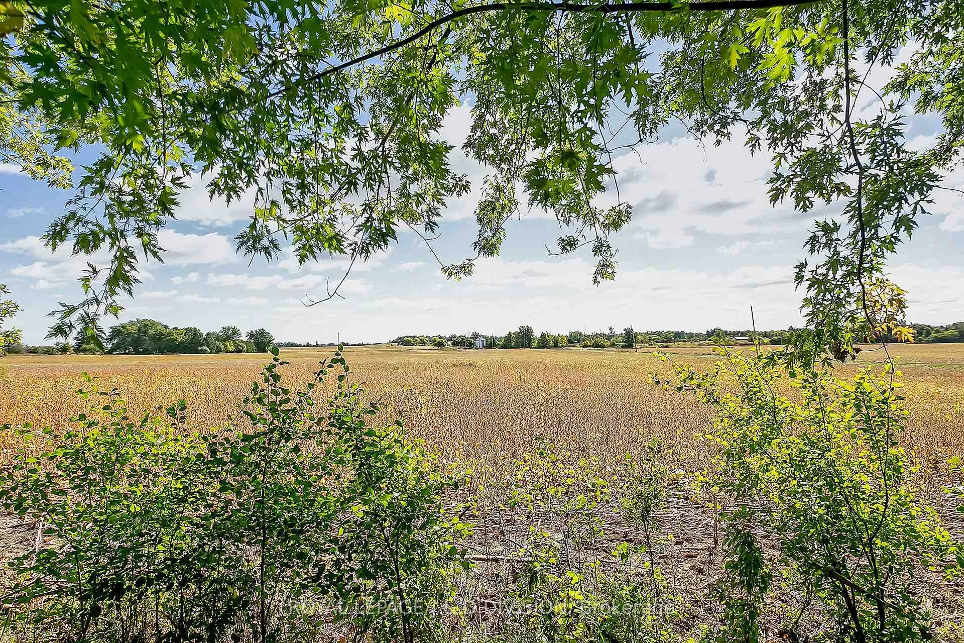 Photo 16 of 523 Mines Road, Haldimand — HOMEH