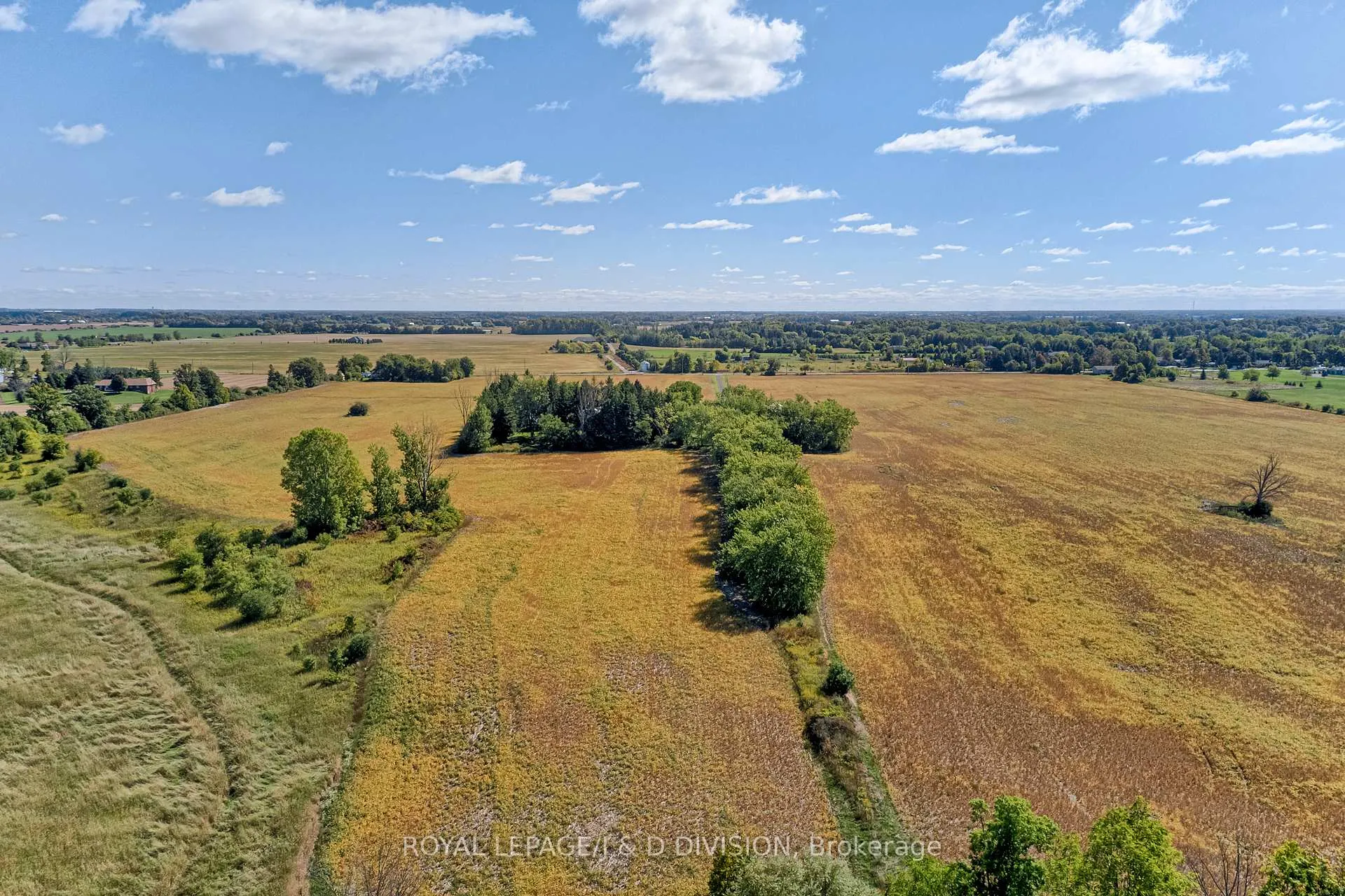 Photo 18 of 523 Mines Road, Haldimand — HOMEH