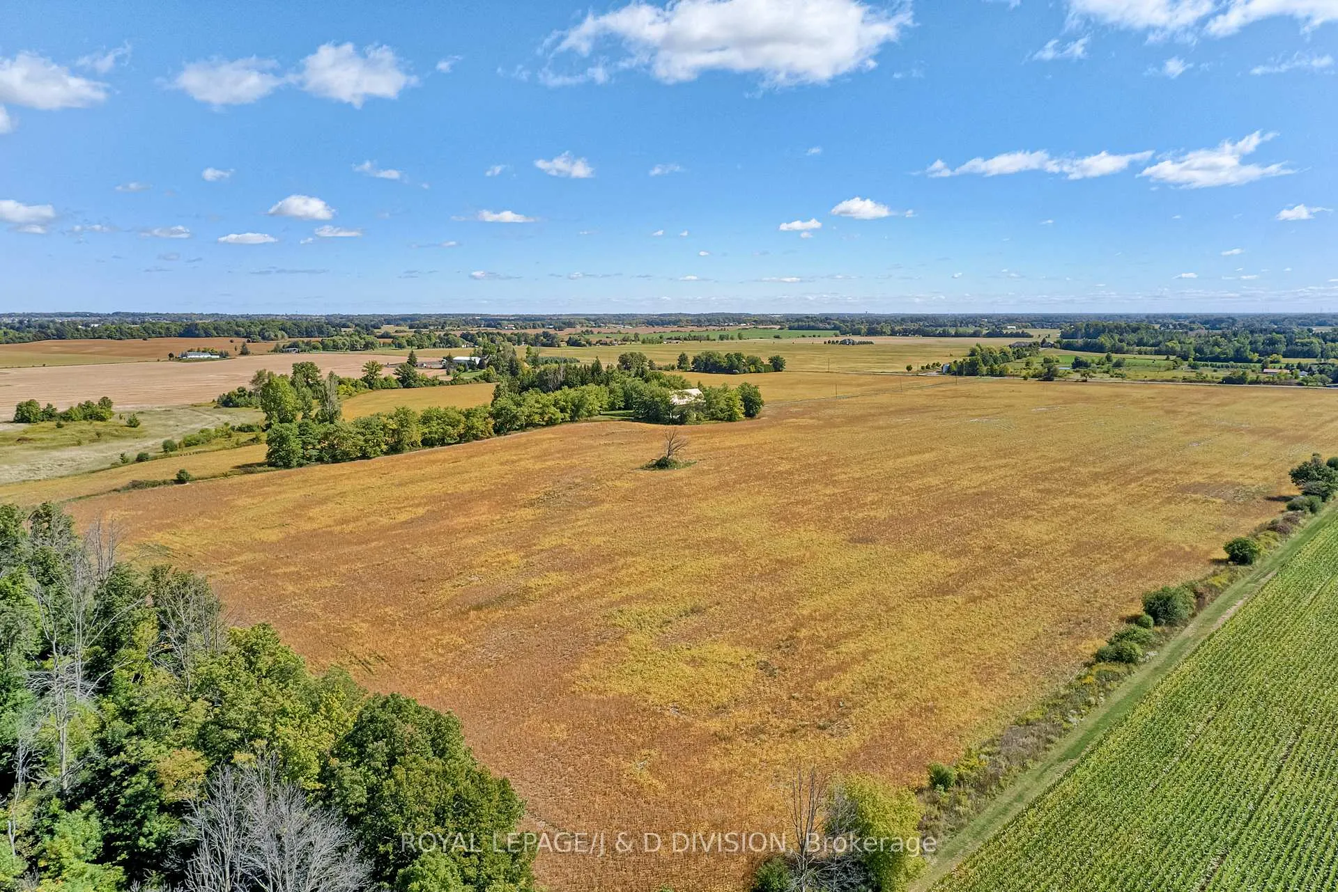 Photo 19 of 523 Mines Road, Haldimand — HOMEH