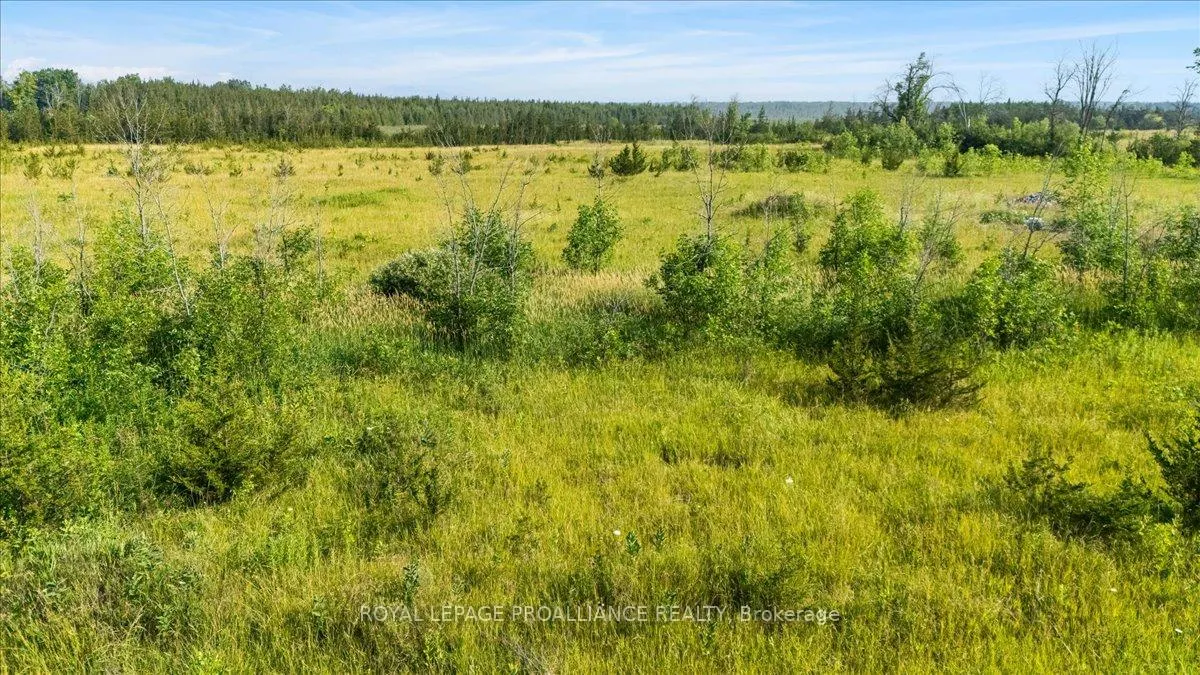 Photo 7 of 3529 Blessington Road, Tyendinaga, Tyendinaga Township — HOMEH